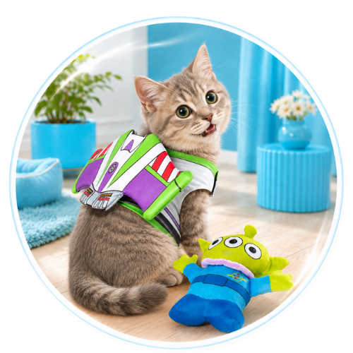 PET TOYS